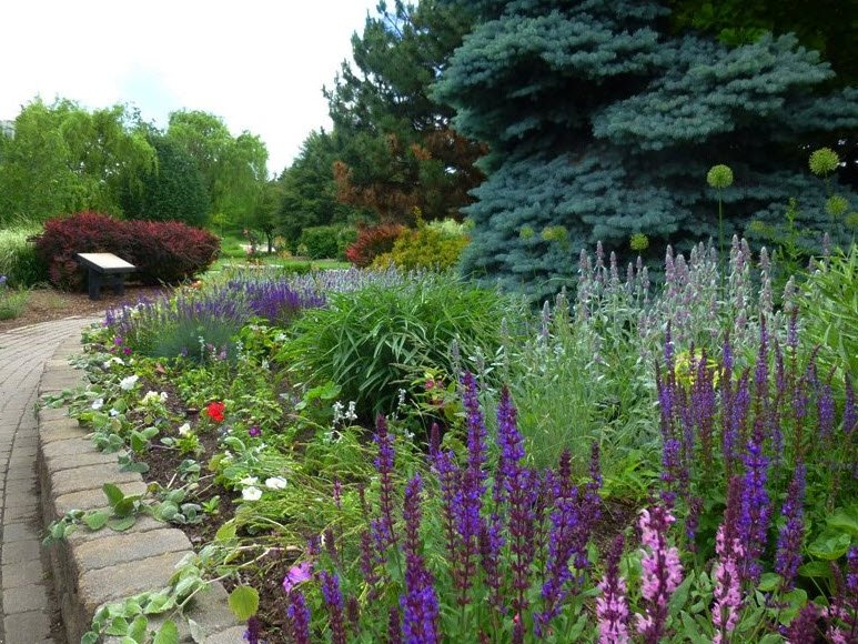 Humber Arboretum, Canada